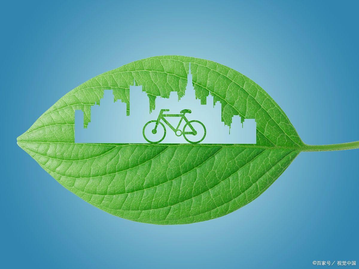 整治资金盘乱象激活绿色动能：消费积分市场的合规化转型之路