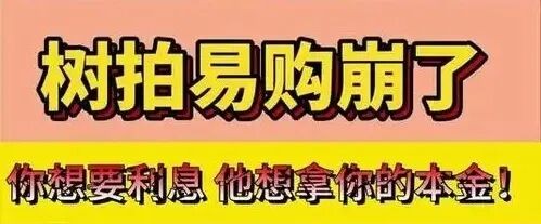 树拍易购案警示：揭露竞拍寄售资金盘骗局，专家提醒警惕虚拟币投资