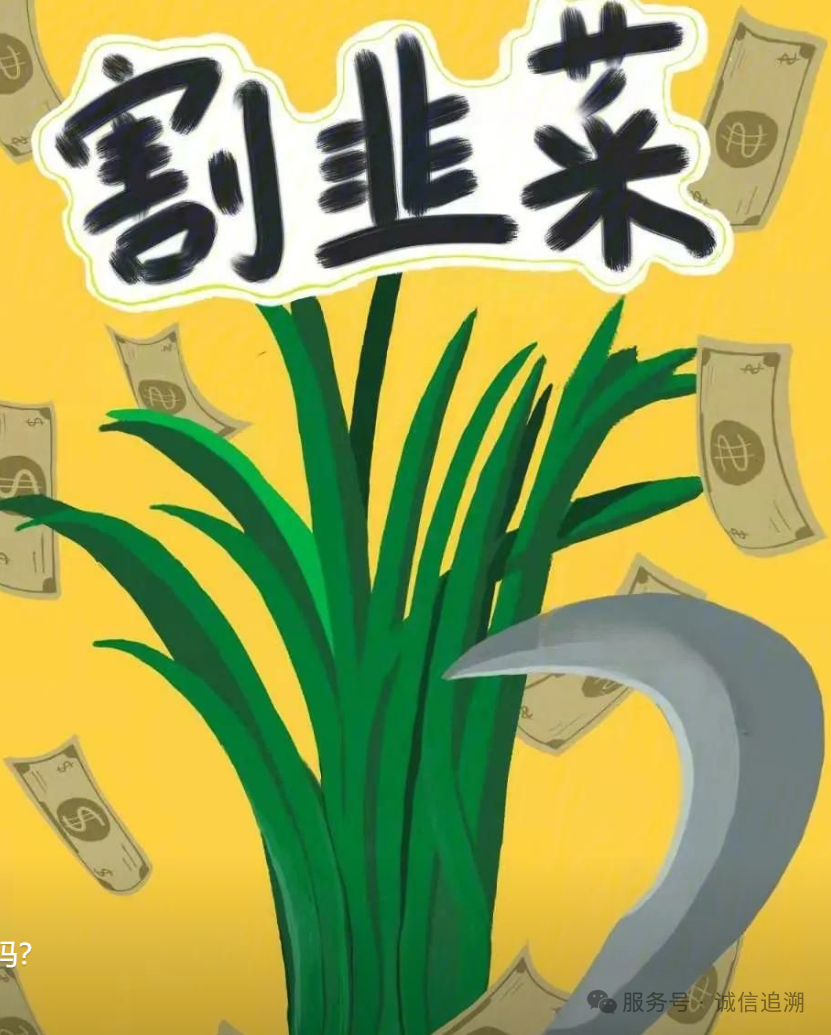 【曝光】直播培训的四大陷阱